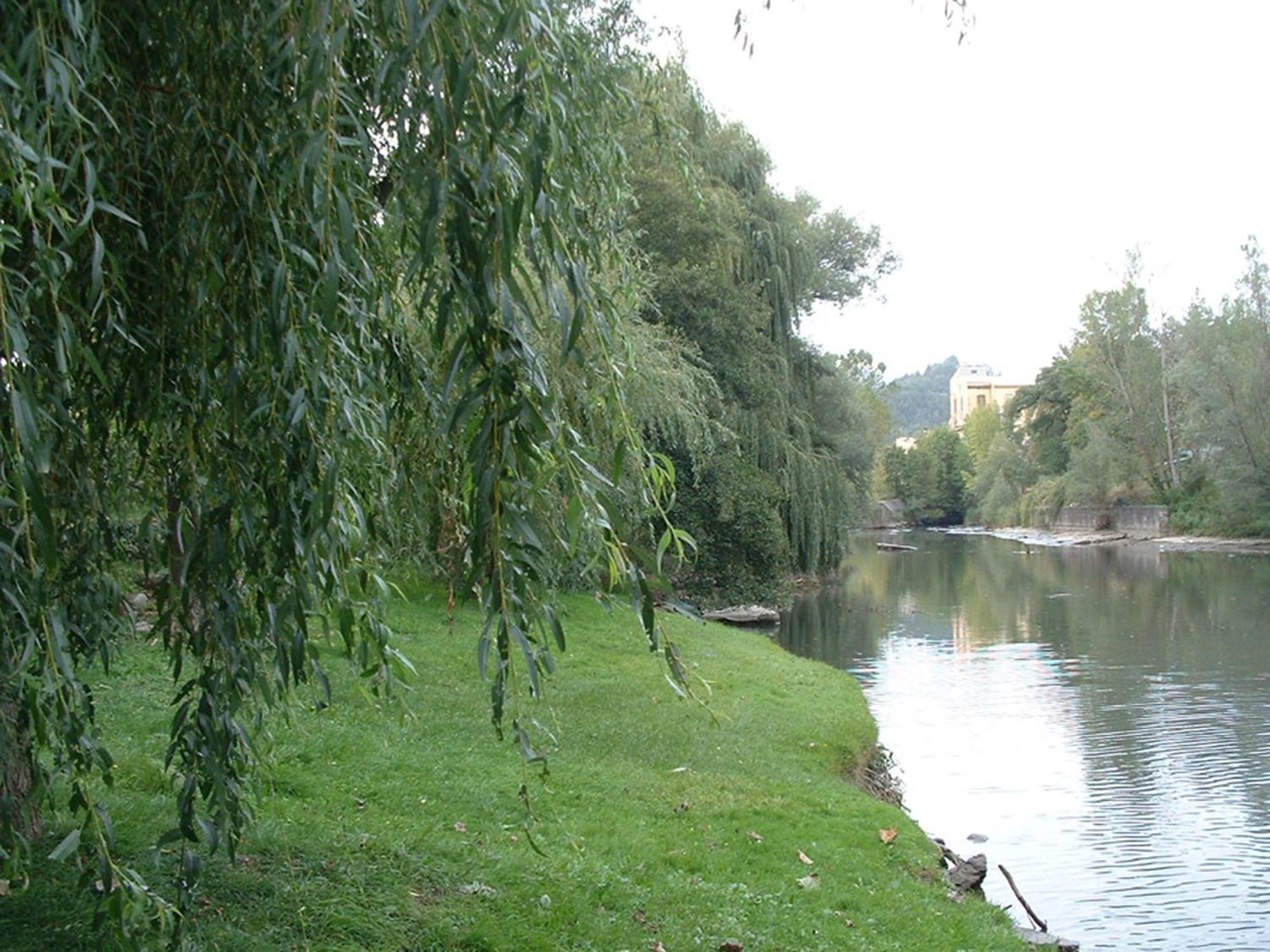 Hotel Sant Quirze De Besora Exterior photo